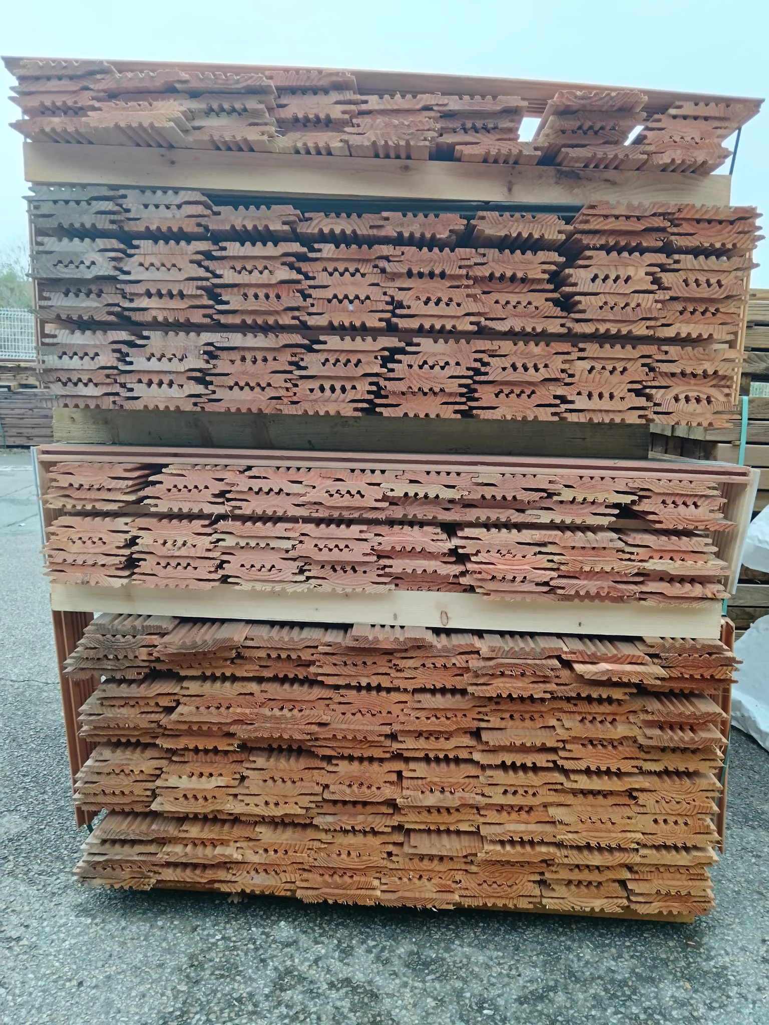 Bardage douglas 2RL (profil Viking) Protac - 20x123 - L=2,5m - Image 5