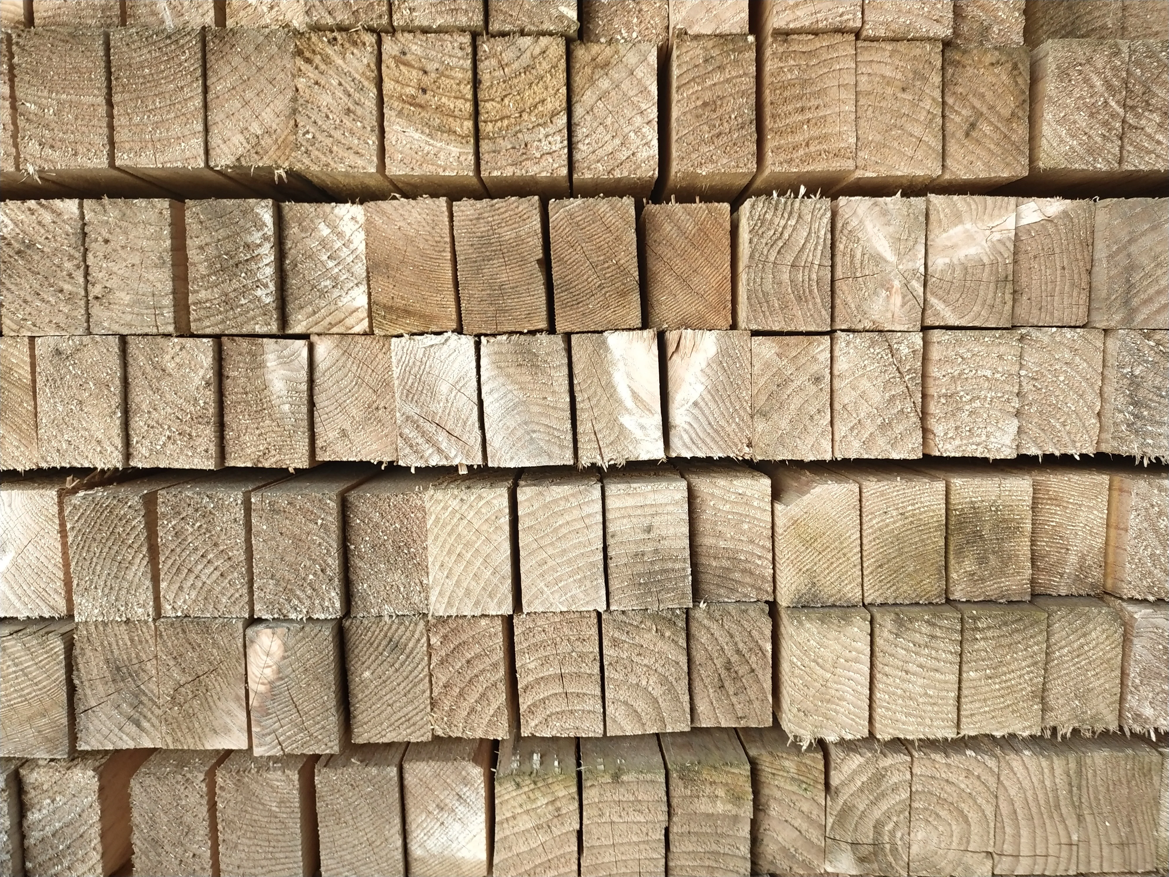 Chevron sapin classe 2 - 44x63 - L=4,8m - Image 3