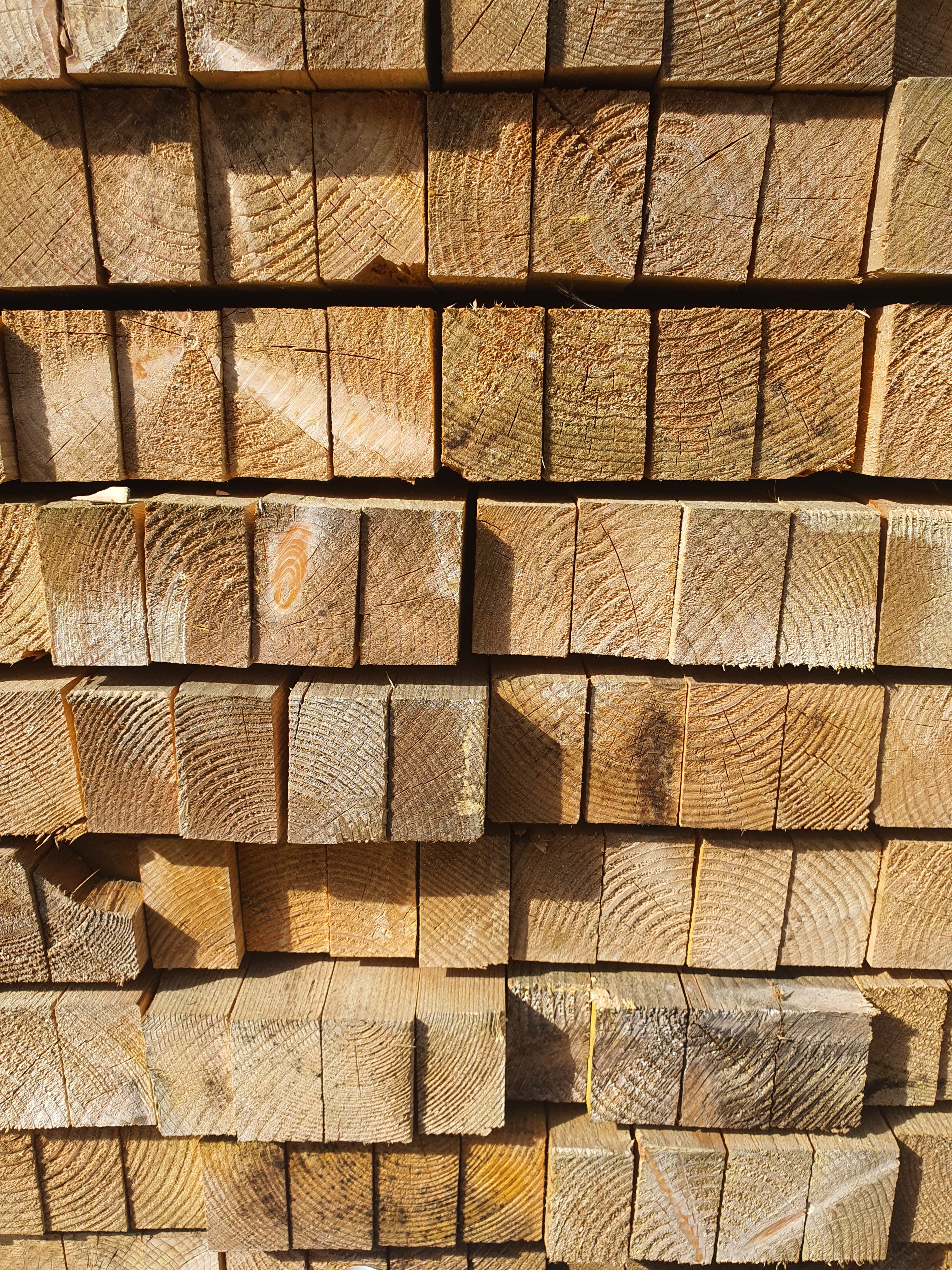 Chevron Sapin classe 2 - 50x75 - L=3,3m - Image 3