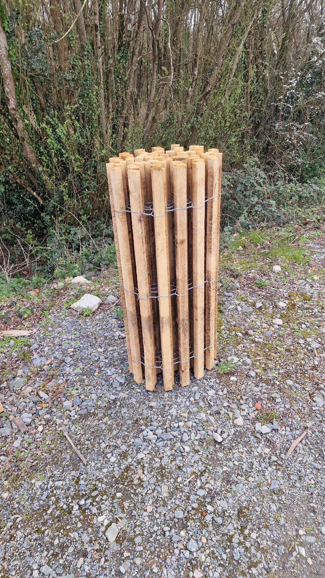 Ganivelle bois massif chêne calibré - hauteur 100 cm - L=5m - non appointée (ecart 4/5 cm) - Image 2
