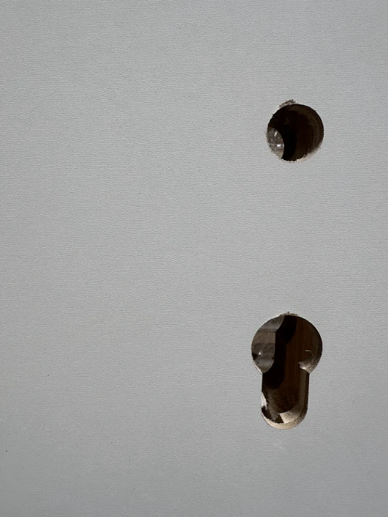 Ouvrant porte âme alvéolaire à recouvrement blanc - 2040 x 930 x 40 mm (PG) - Image 3