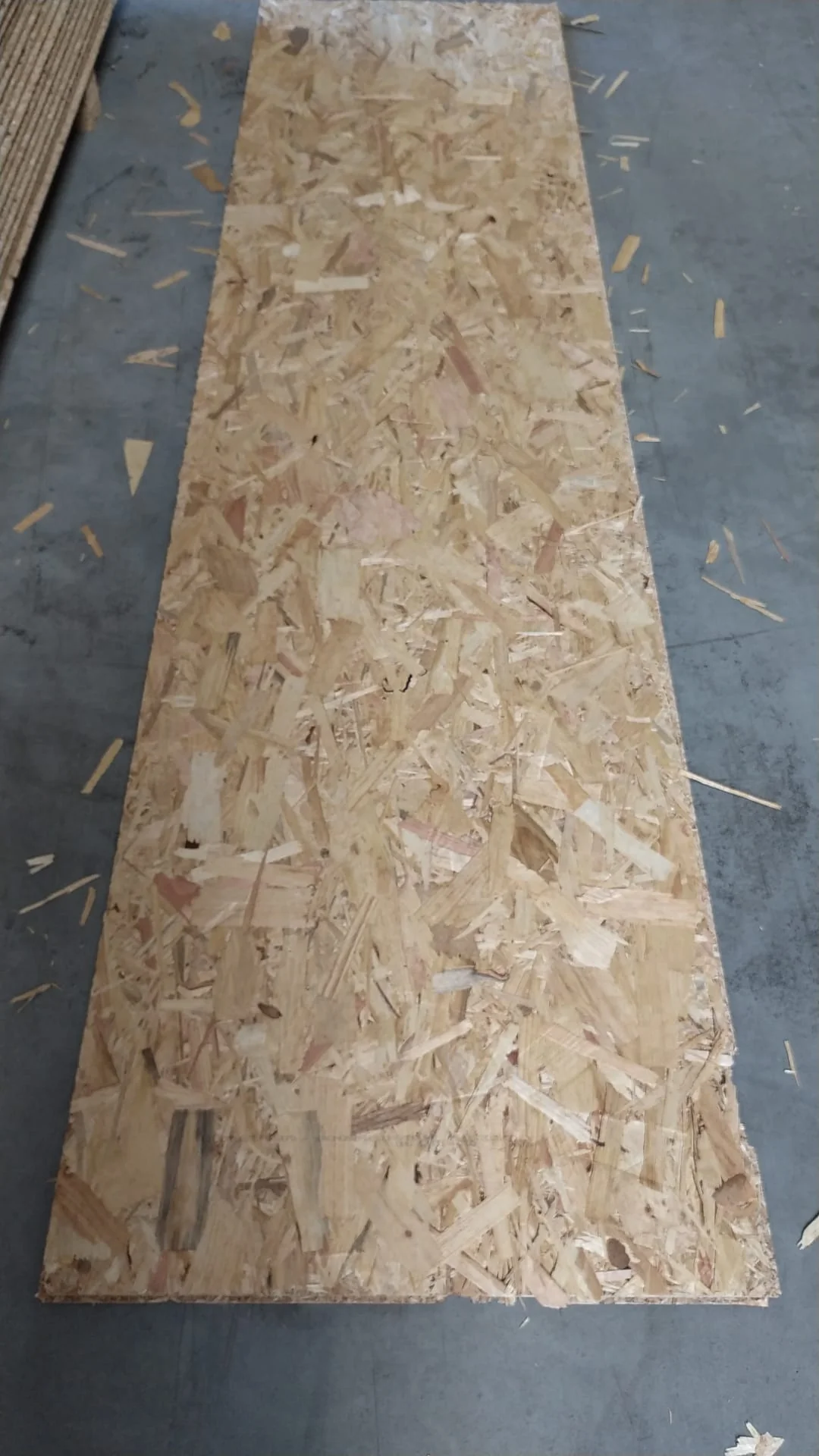 Dalle OSB 3 Kronospan - 2500 x 625 x 18 mm (défauts majeurs) - Image 4