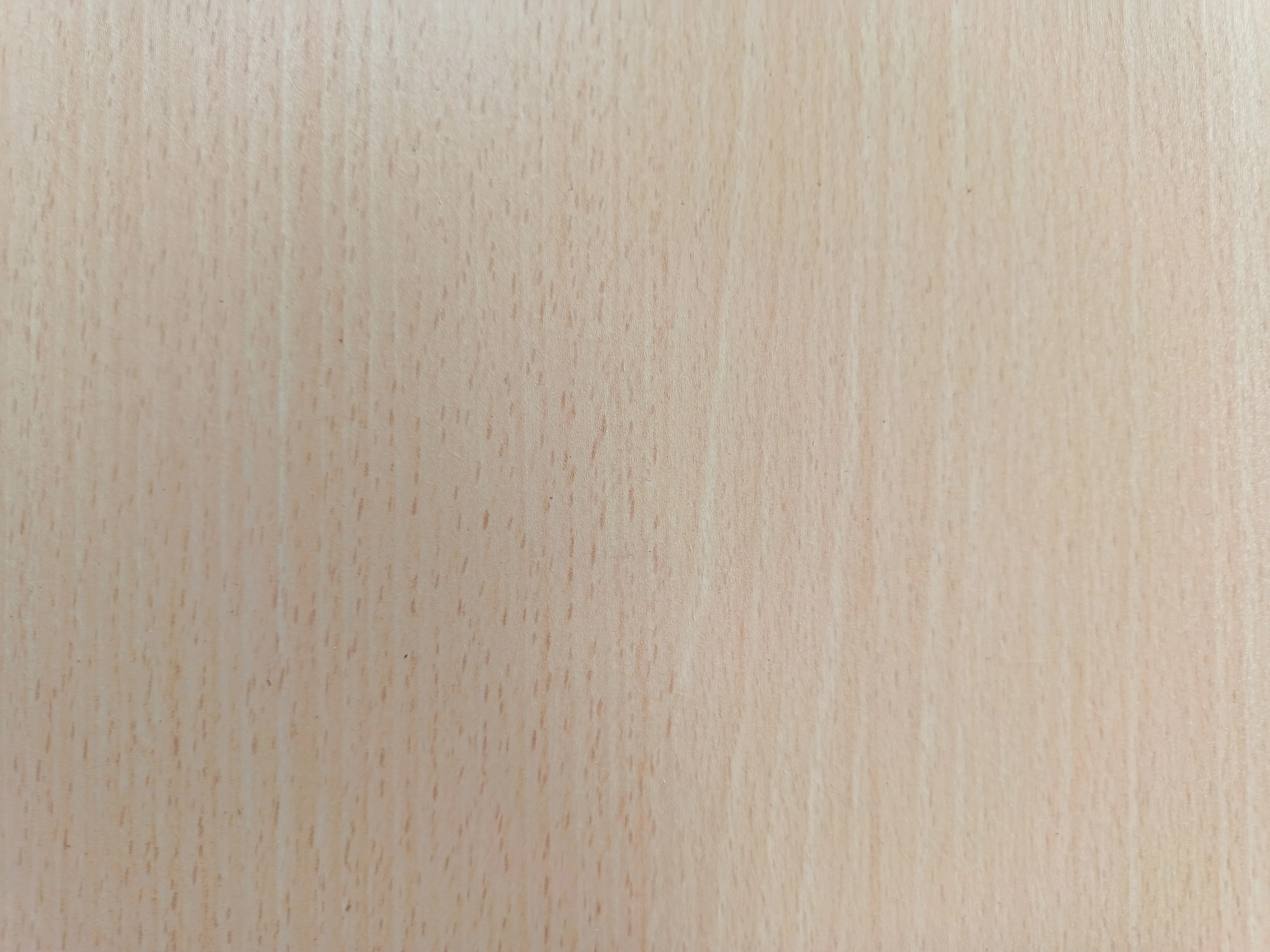 Tablette aggloméré hetre - 1305 x 395 x 40 mm - Image 3