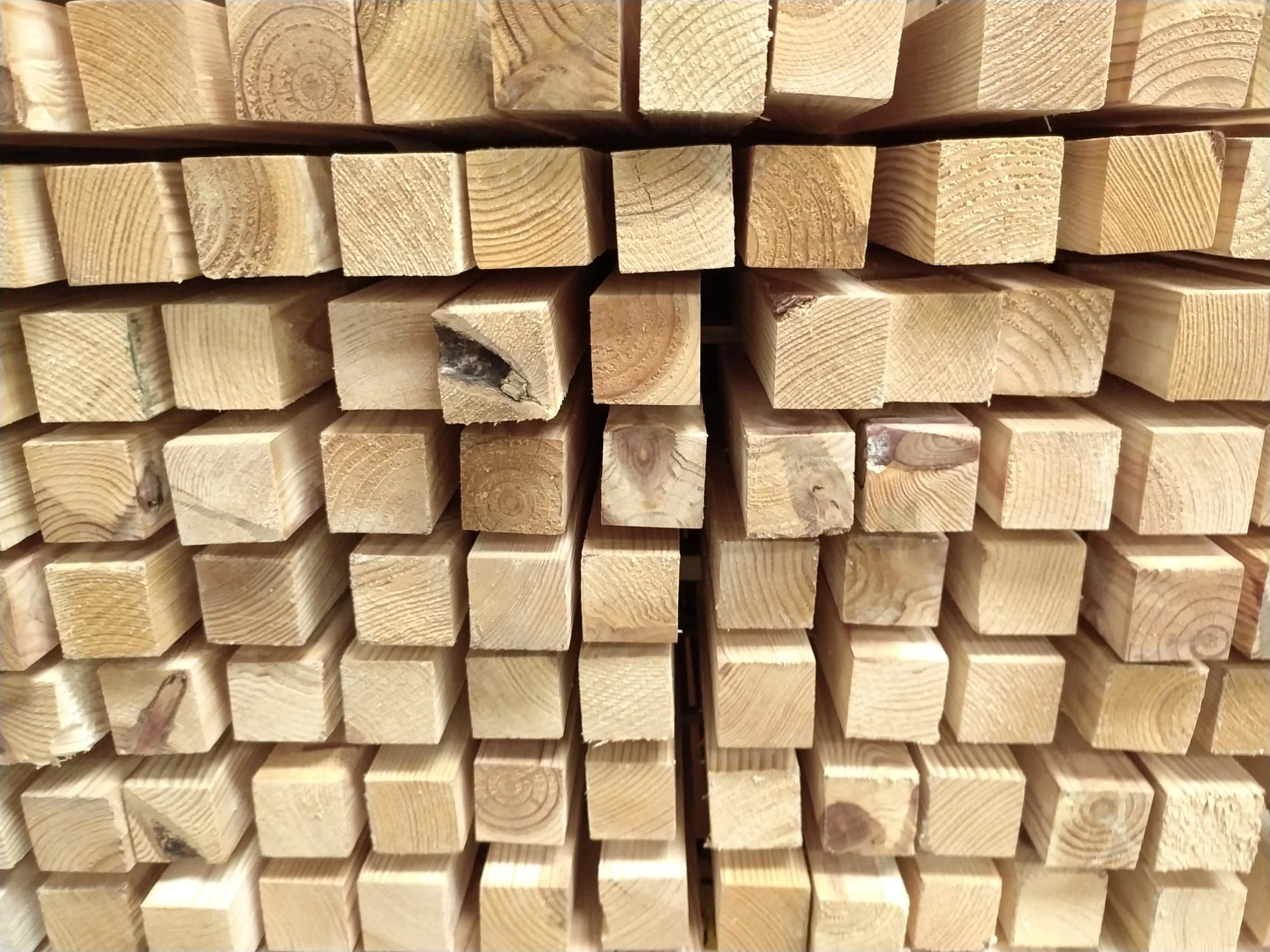 Tasseau sapin - 44x44 - L=2,4m - Image 3
