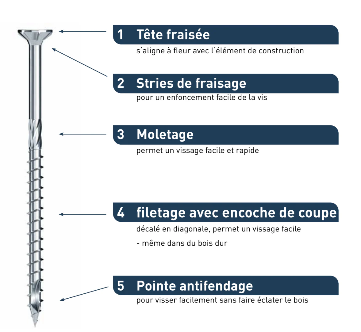 Boite de 200 Vis bois acier zingué 4x30 Empreinte Torx - Image 2